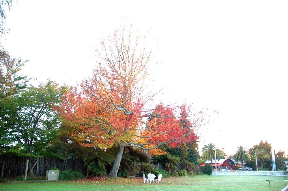 Fairy Springs Motel Rotorua Exteriör bild
